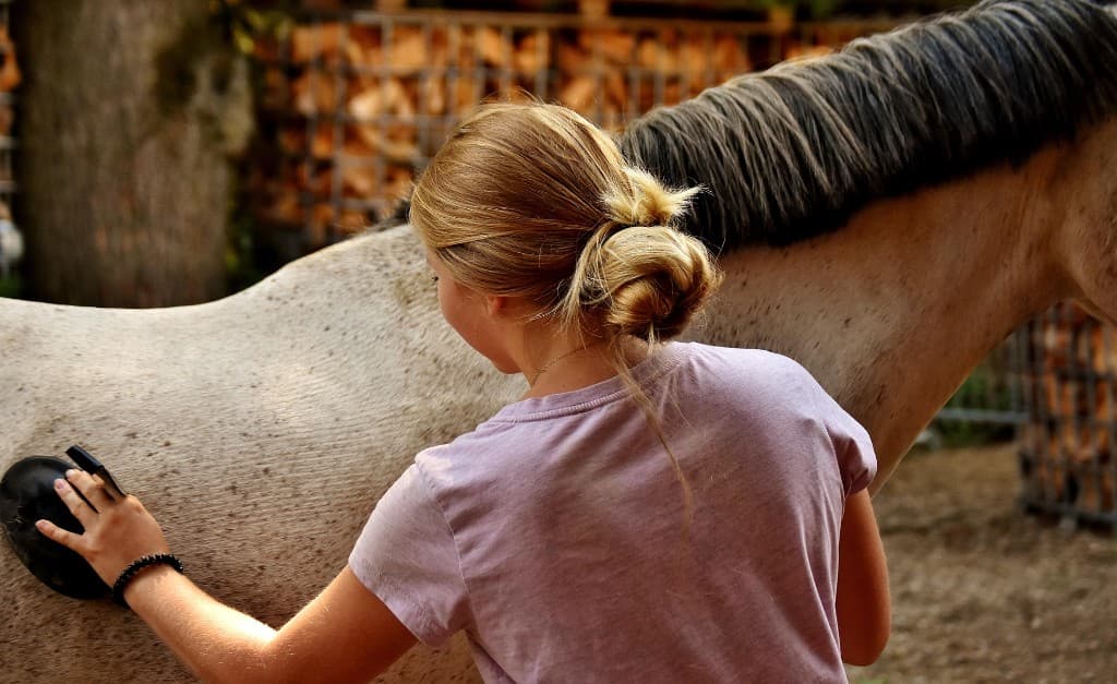 En flicka borstar sin häst i eftermiddagsljus — vardag i stallet.