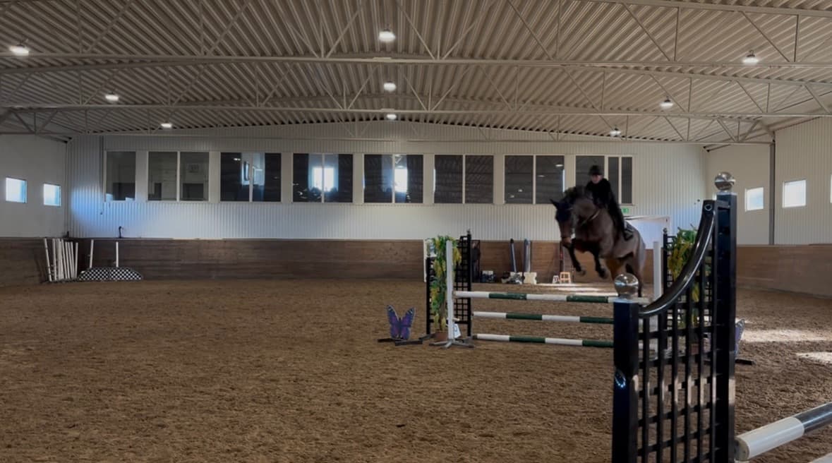 Projekt med stor potential