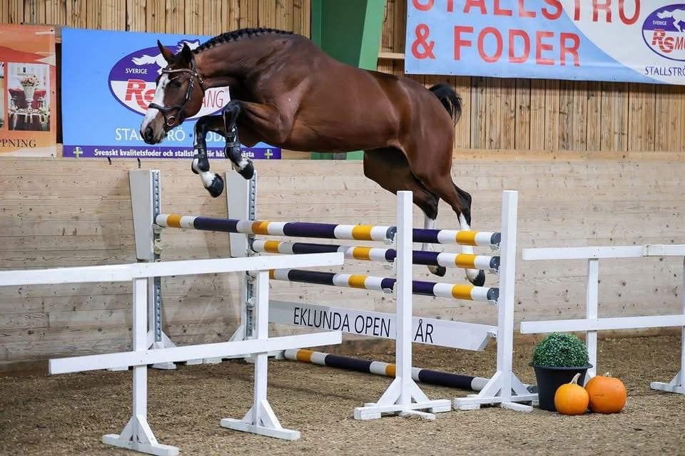 Sto för toppsporten, 2a Eklunda Open, 50 p 3-årstest och Hoppdiplom