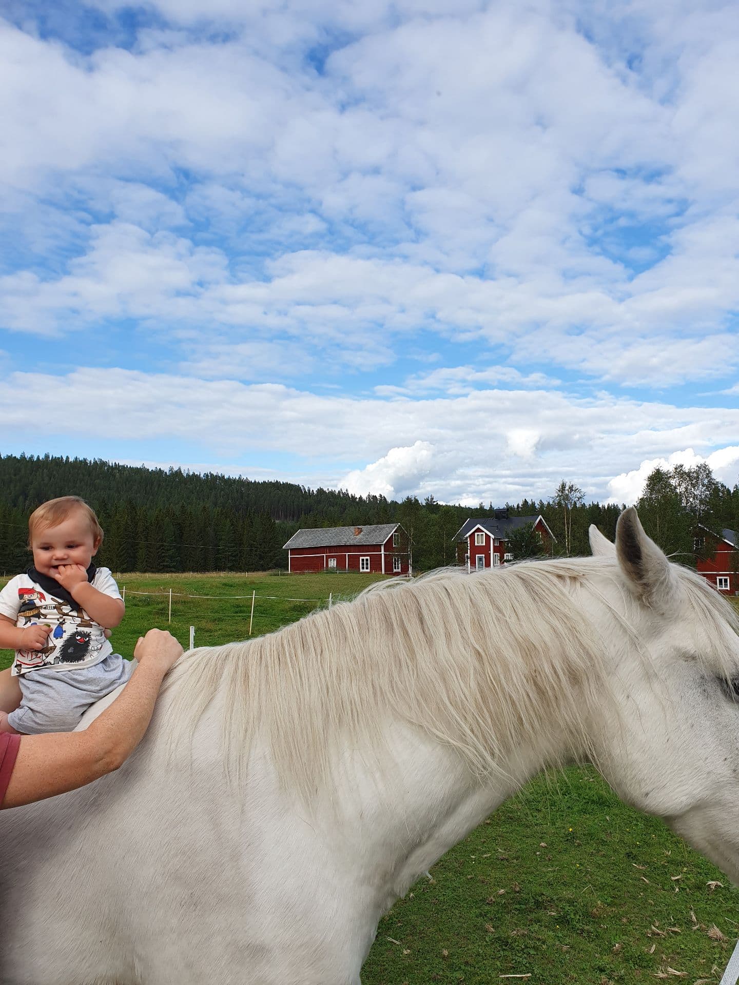 Bild 13