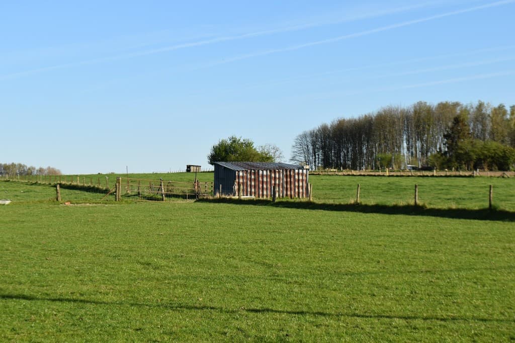 Lindberg stables 