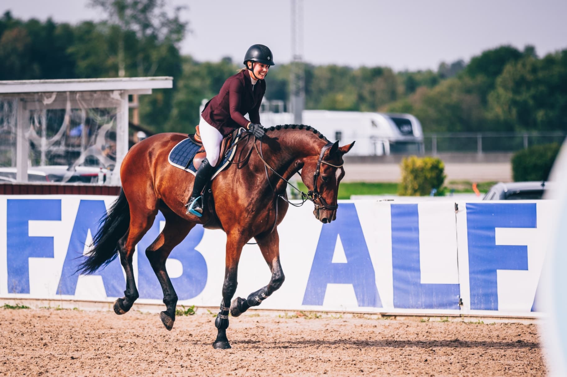 MSF Equestrian 