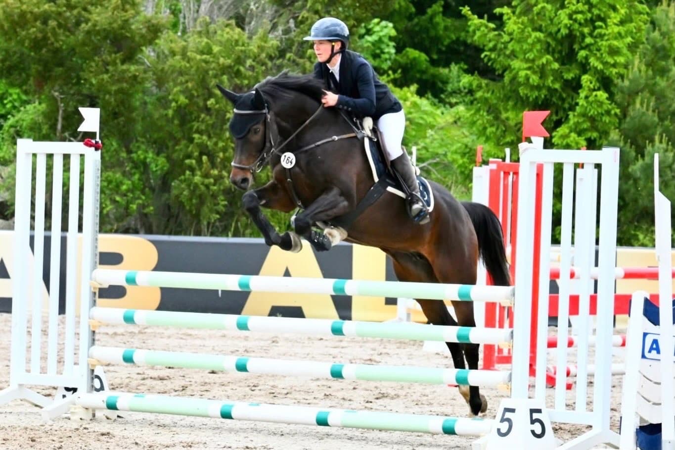 Future Equestrian 