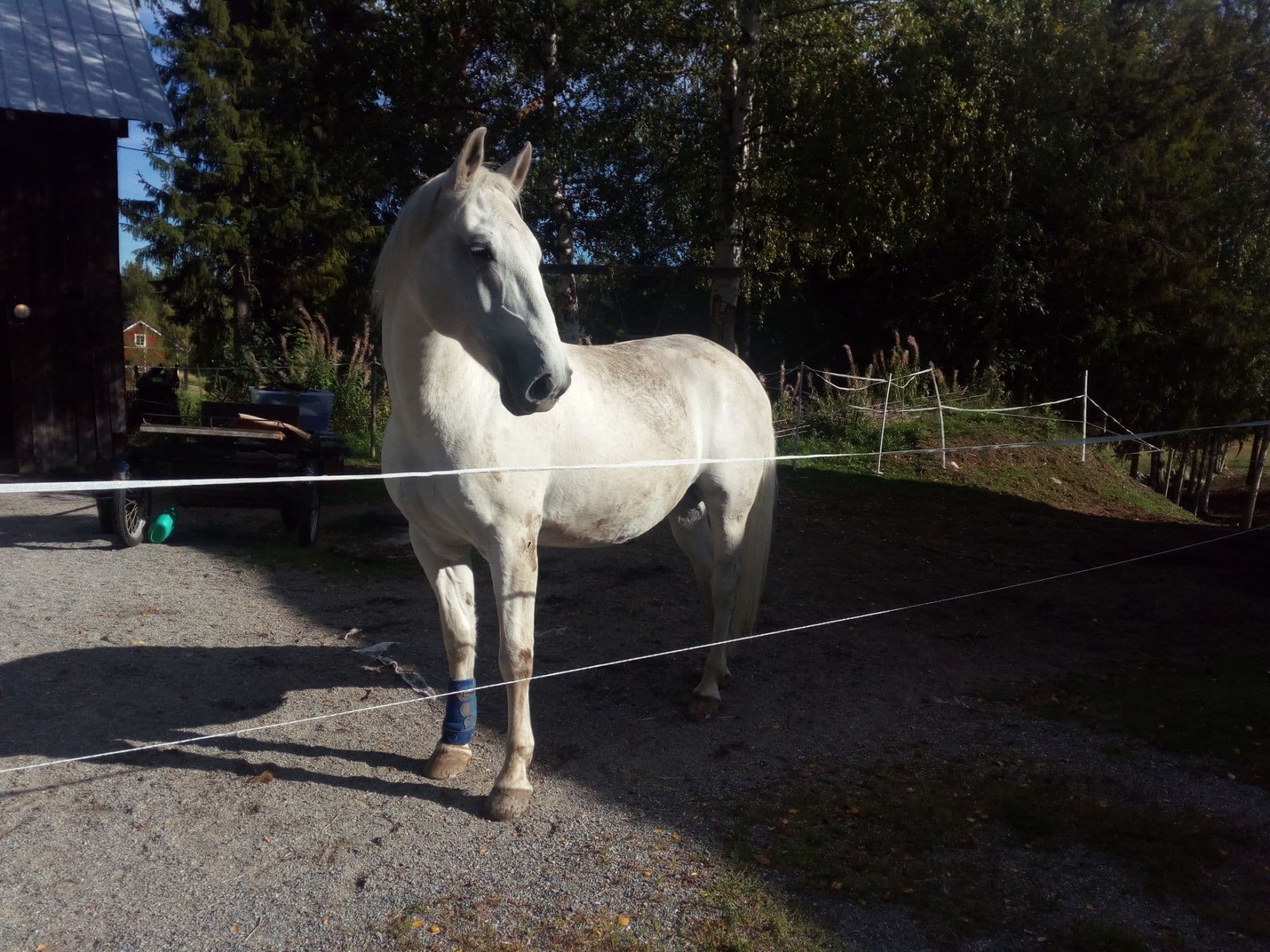 Bild 18