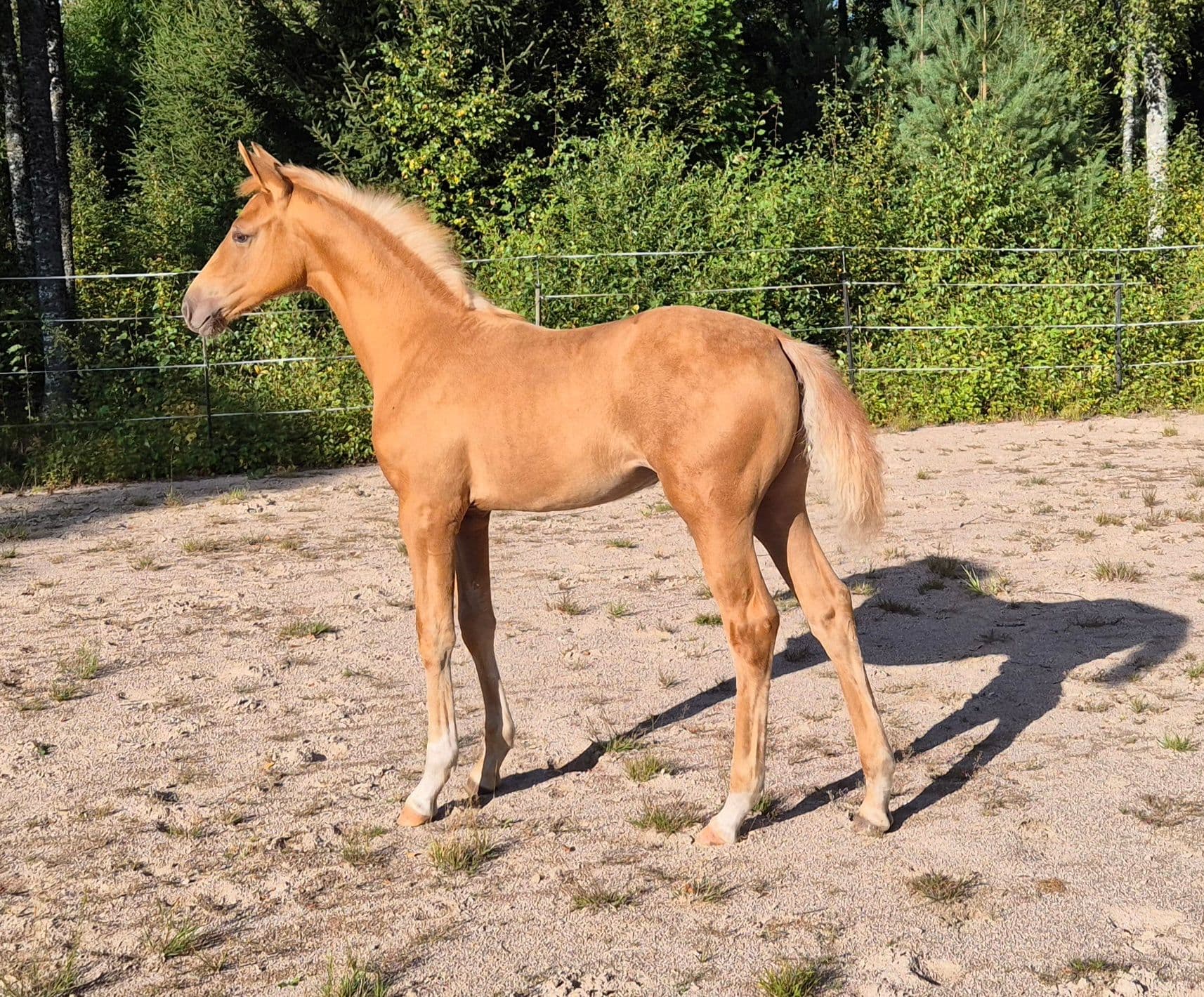 Bild 5