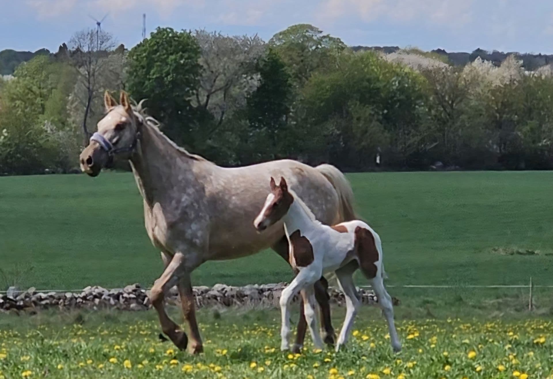 Bild 3