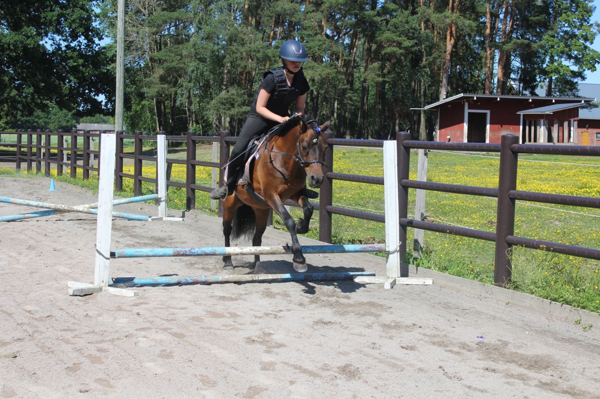 Bild 4