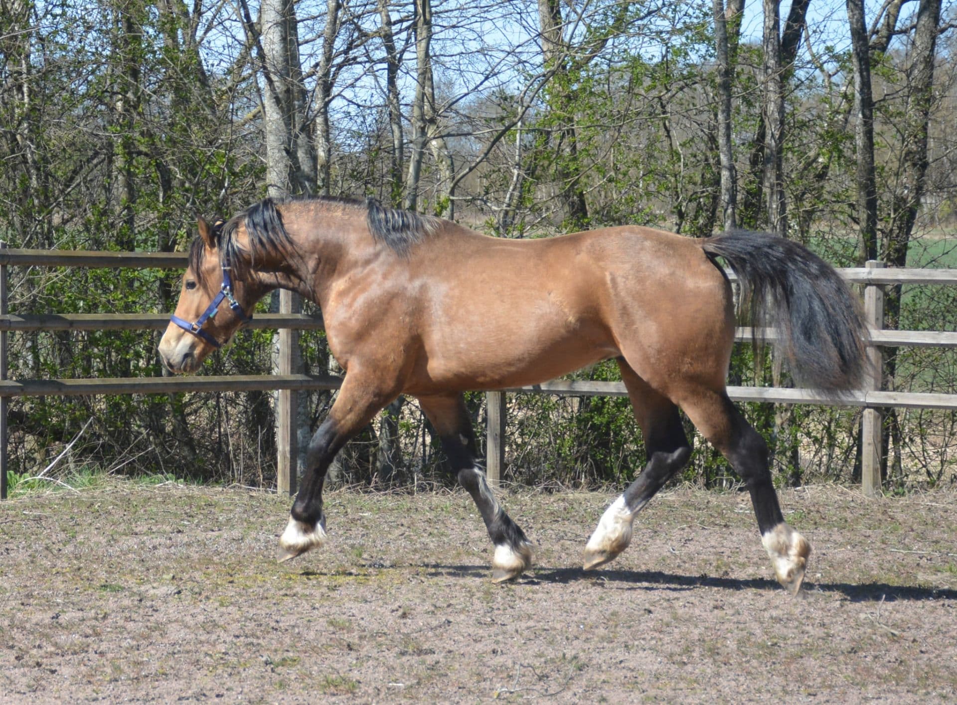 Bild 8