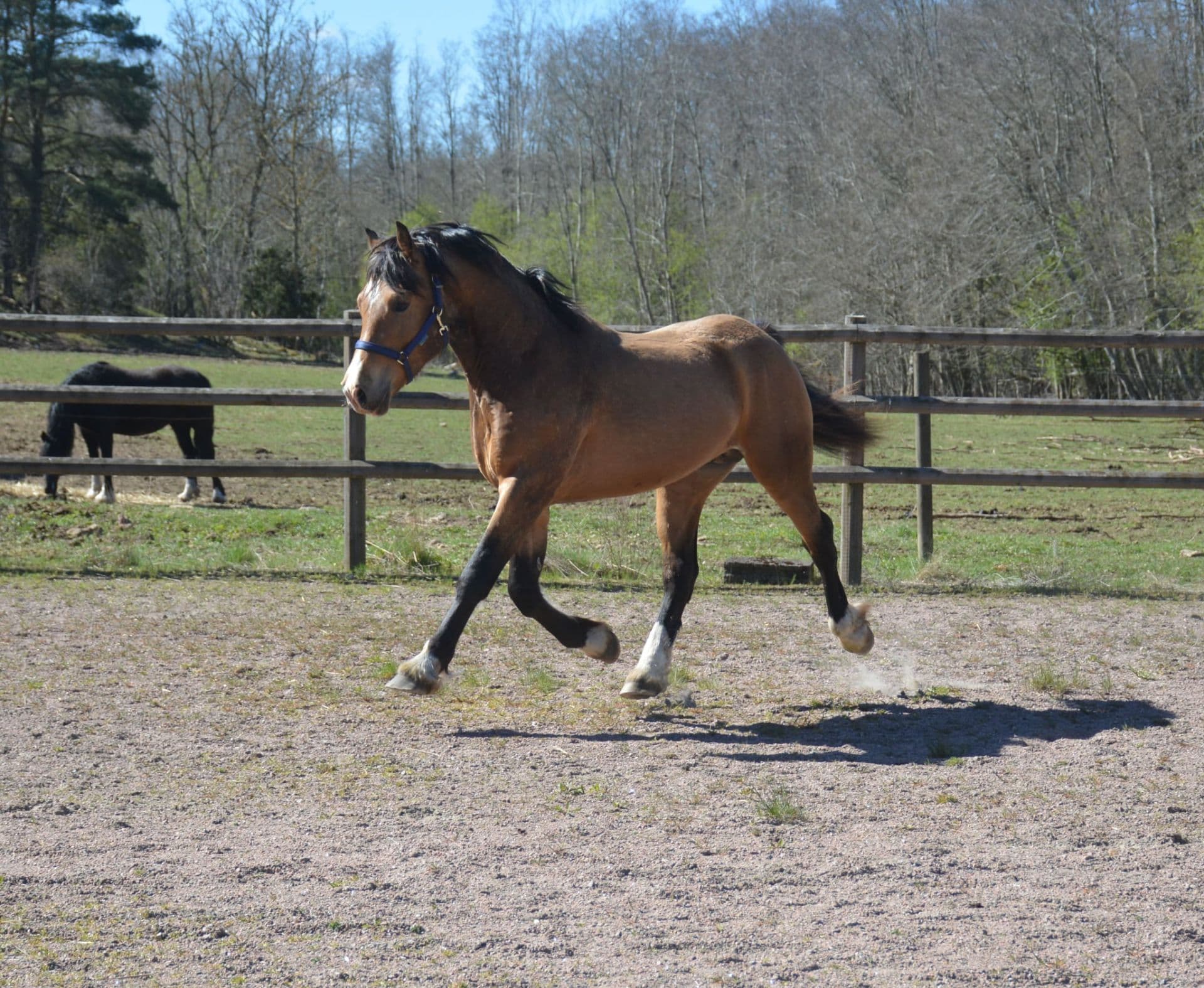 Bild 7
