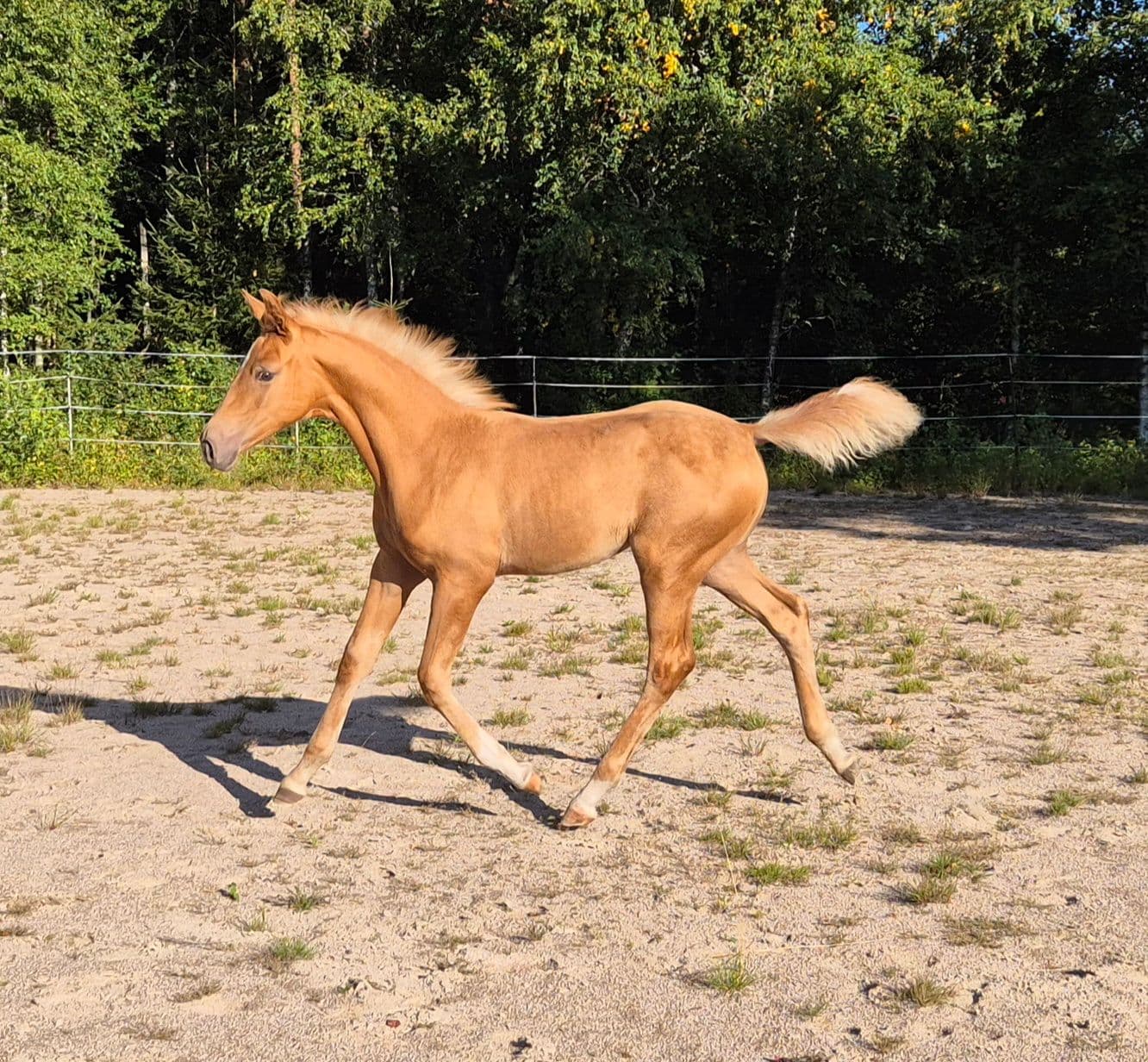 Bild 2