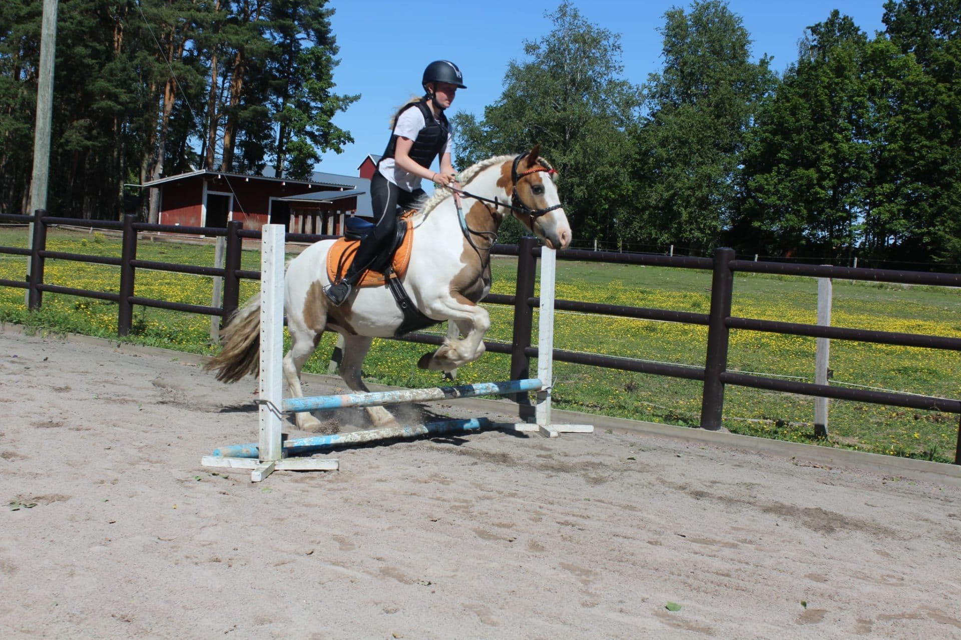 Bild 4