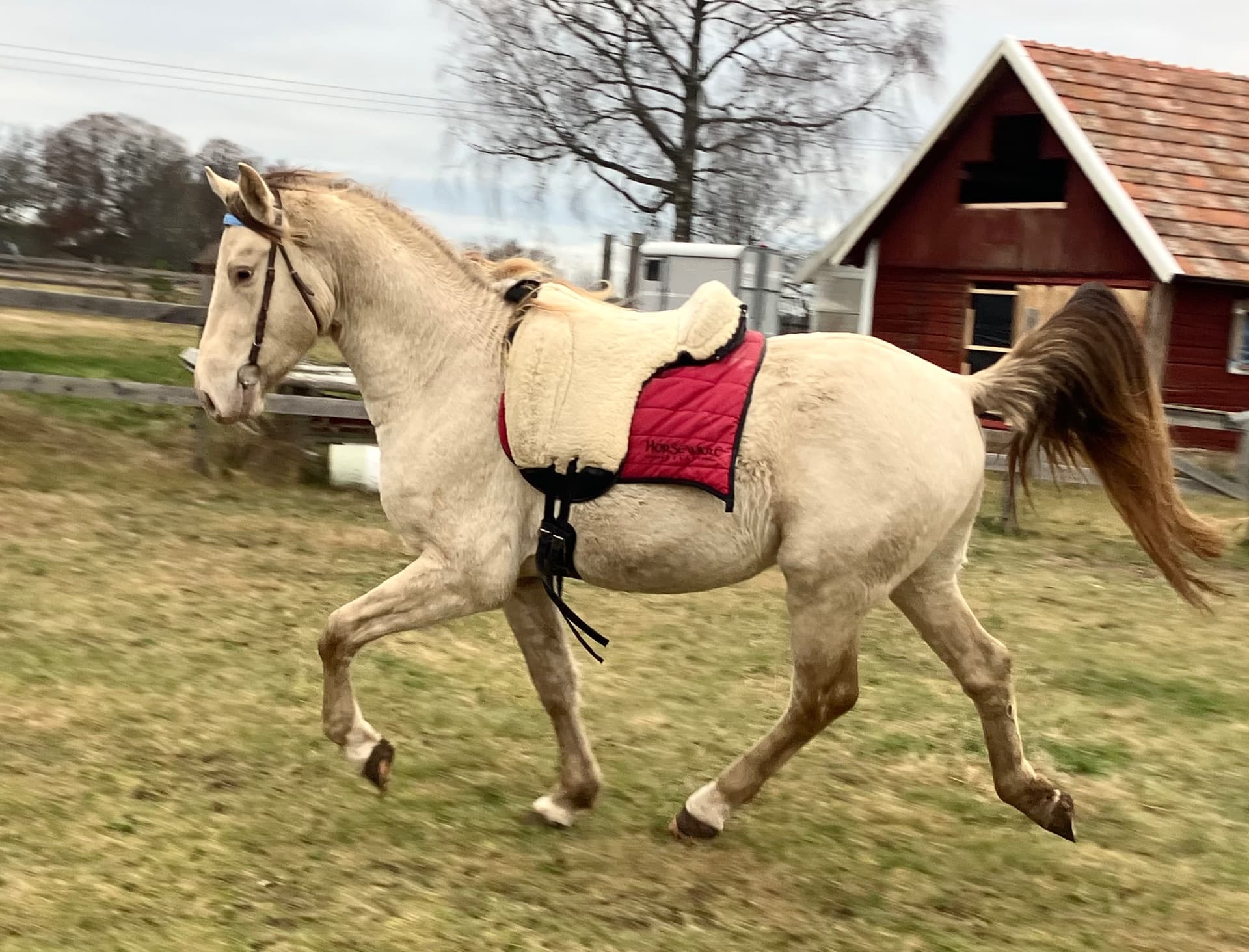 Bild 3