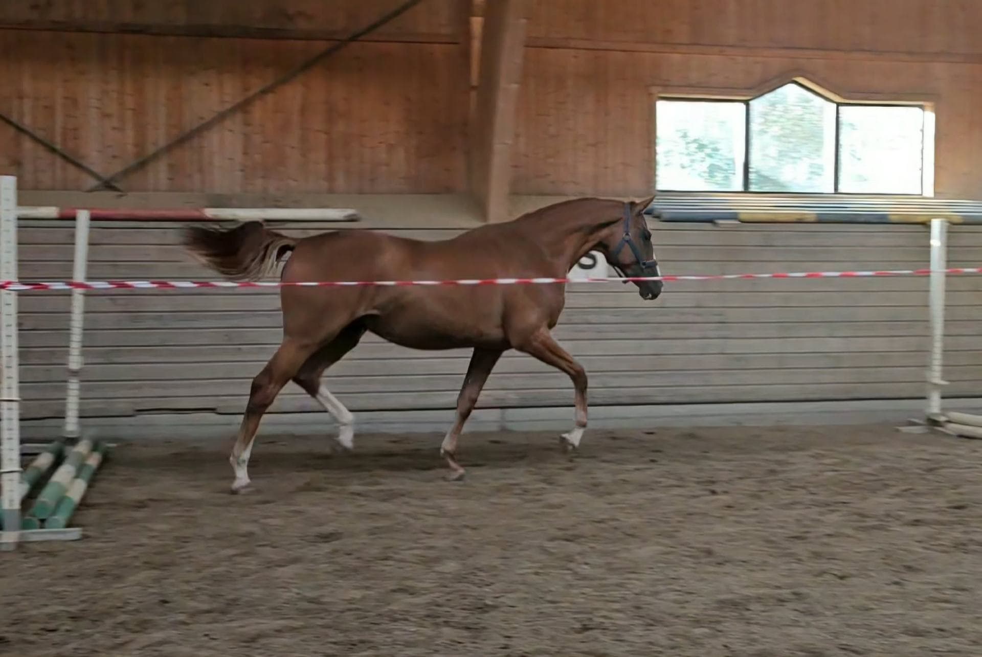Bild 2