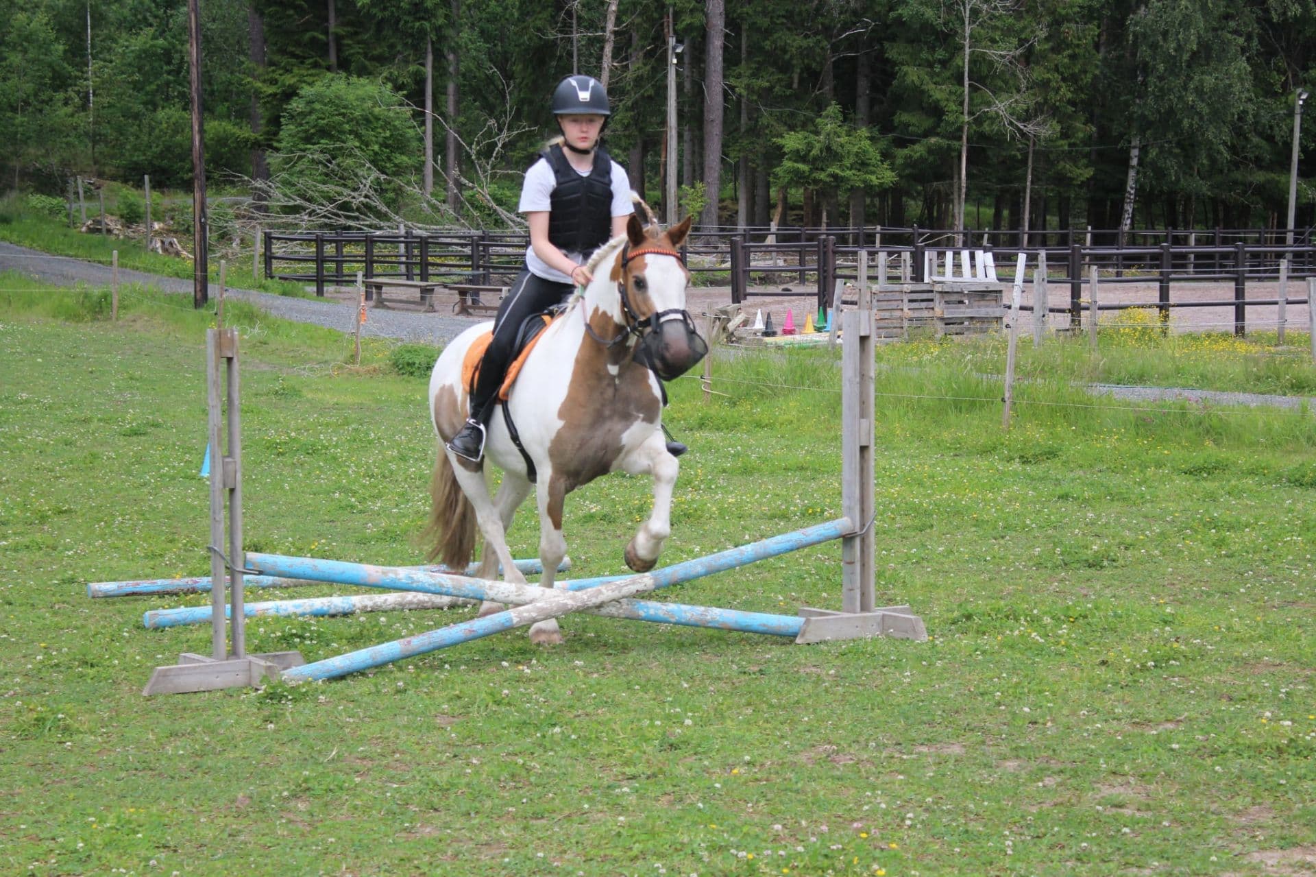 Bild 2