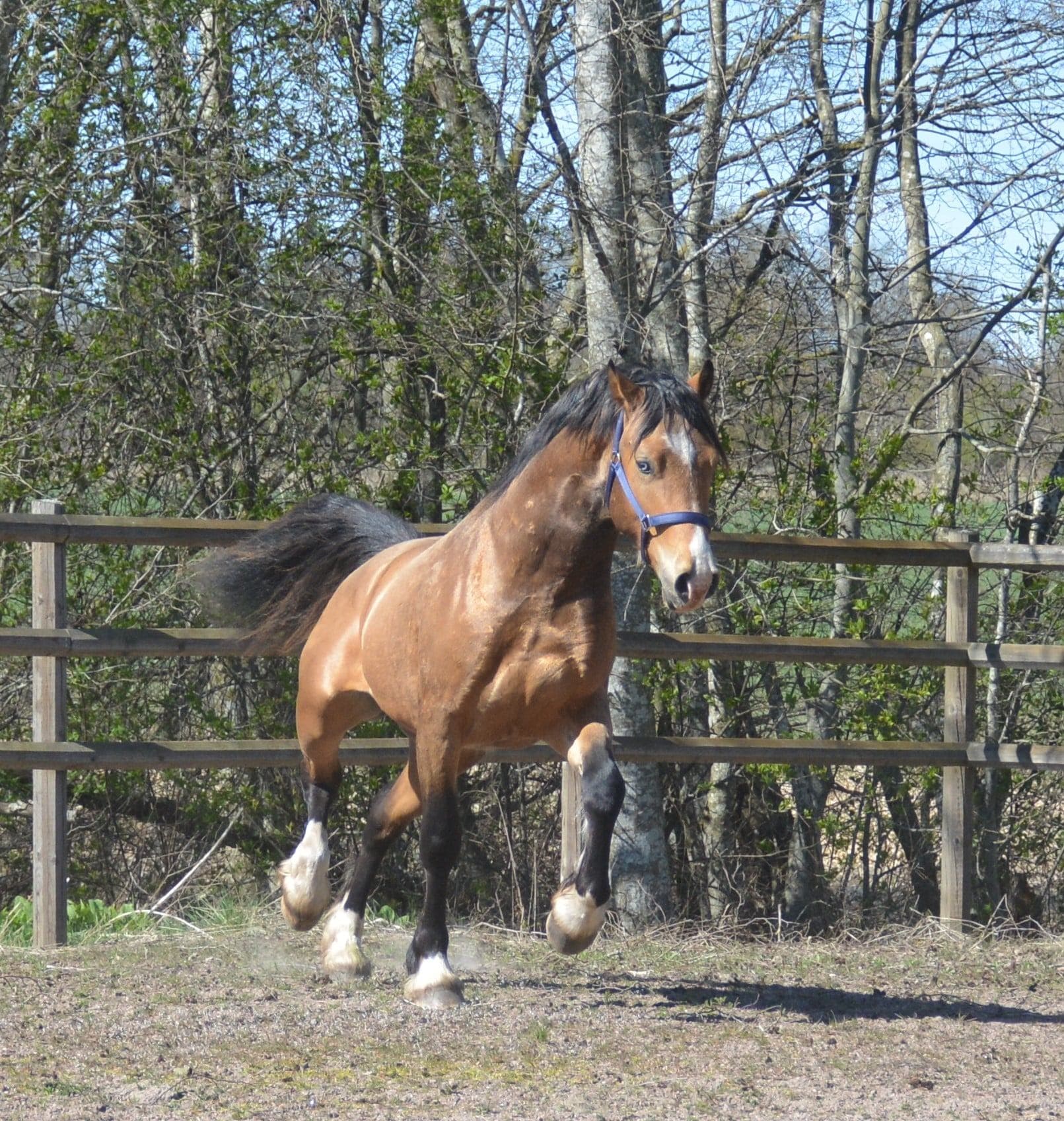 Bild 5