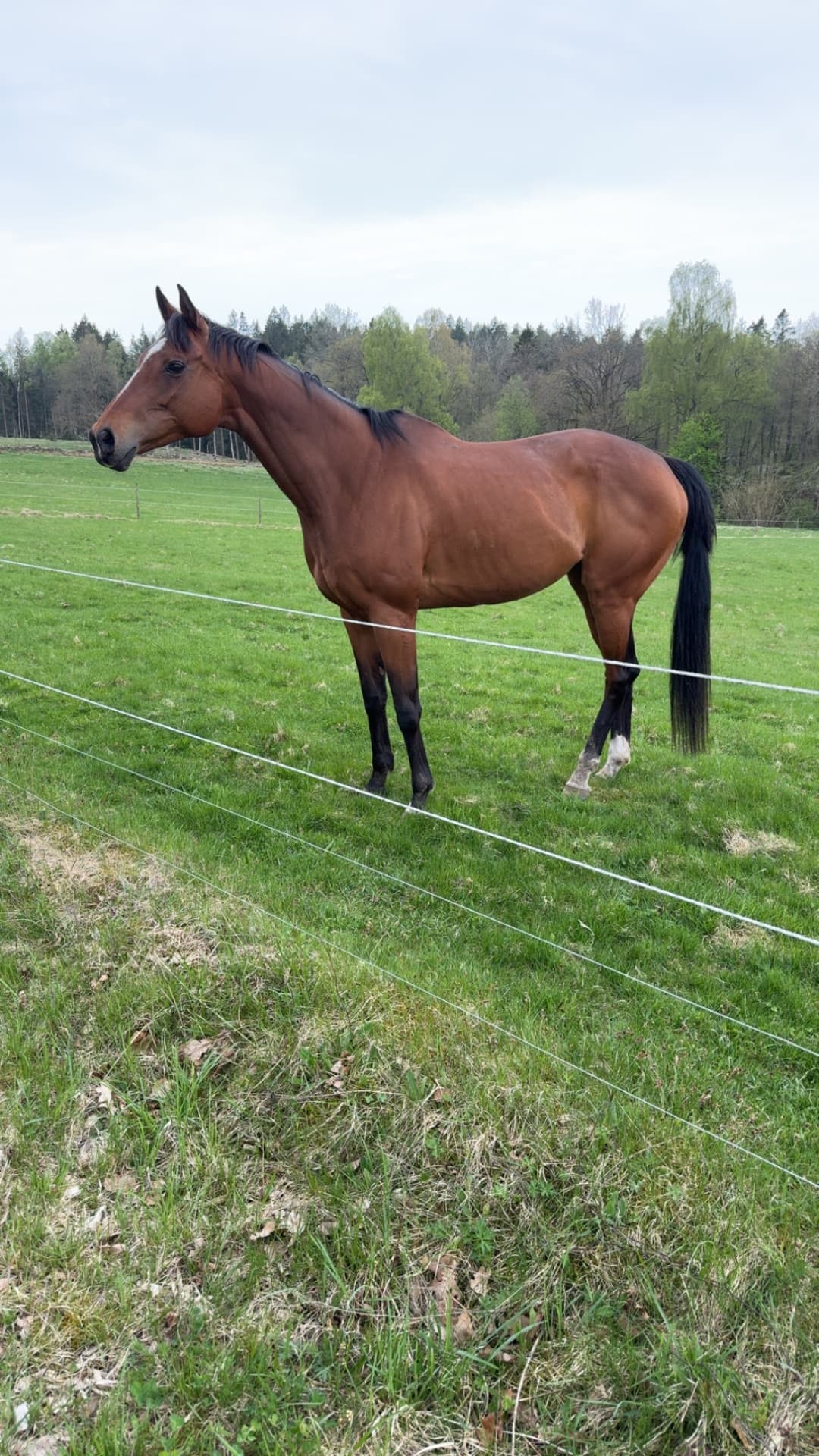 Guldklimp säljes🌟