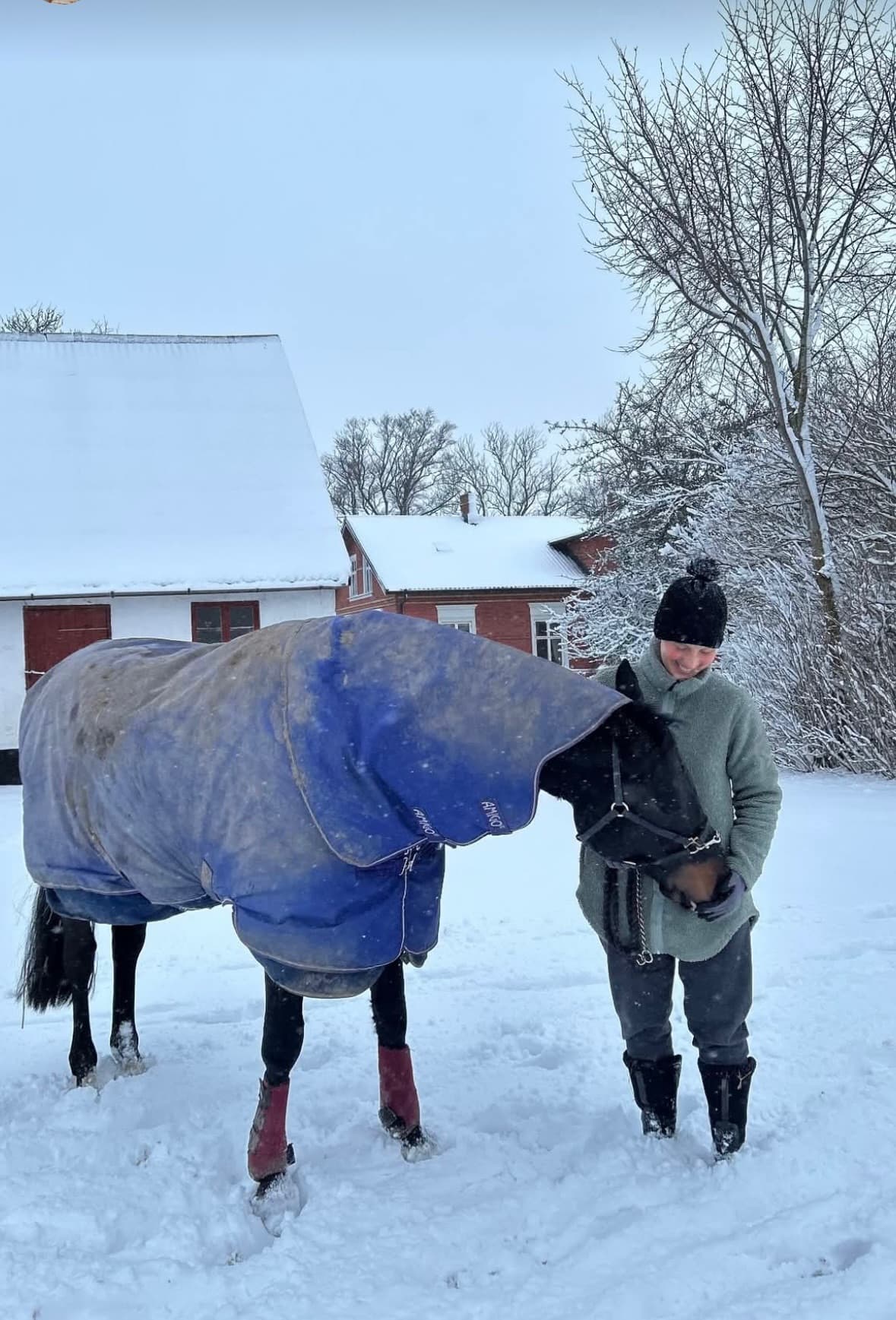 Hästtäckestvätt utanför Vellinge