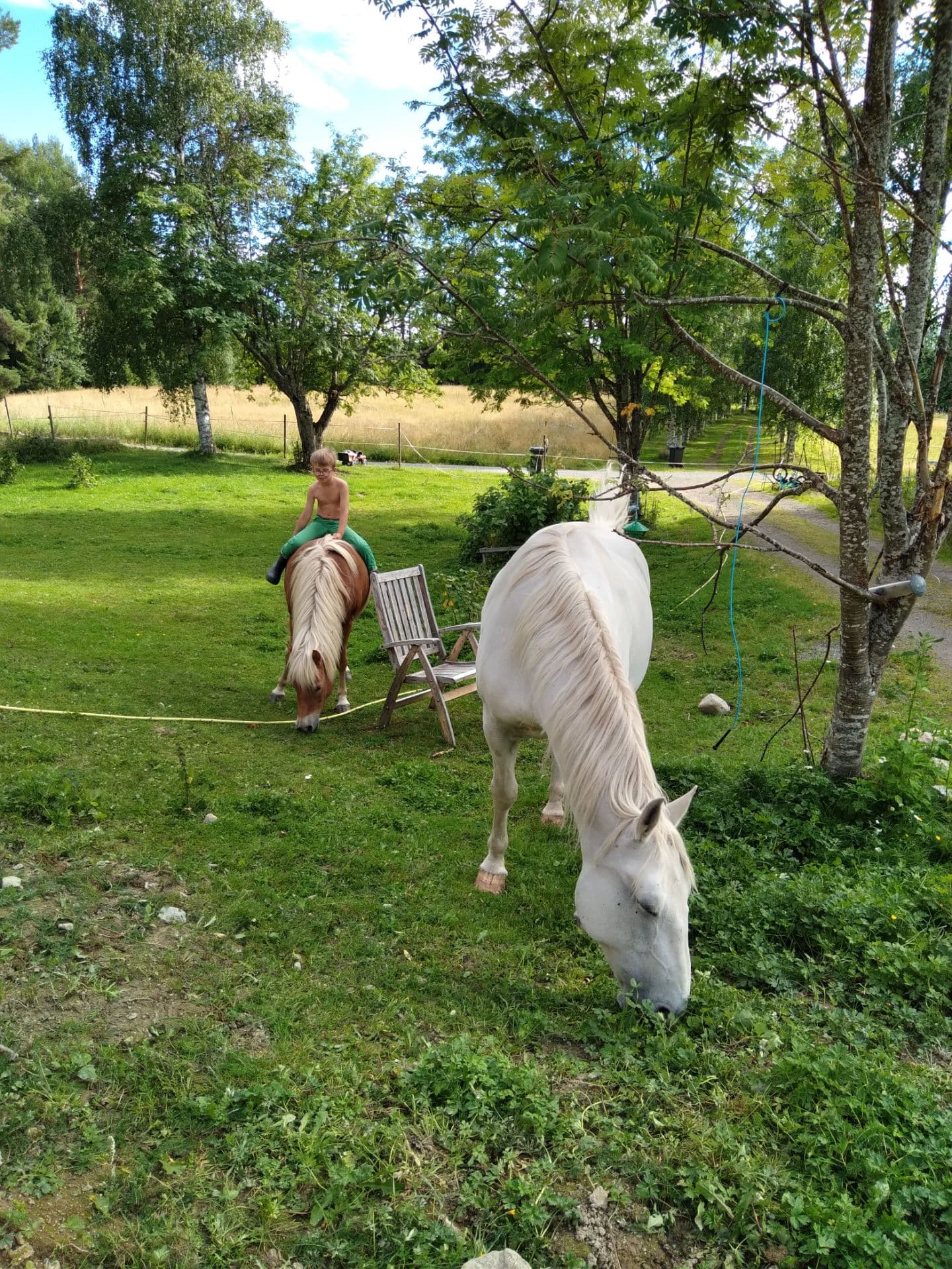 Bild 12