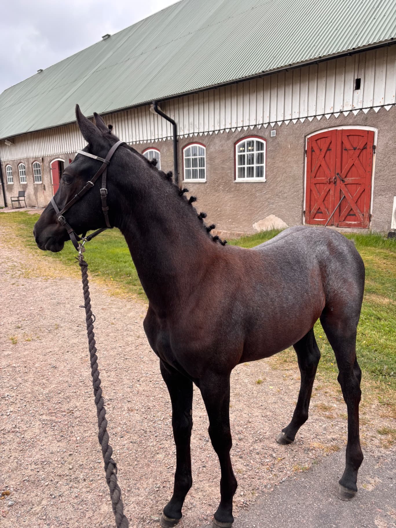 Framtidens stjärna swb sto föl