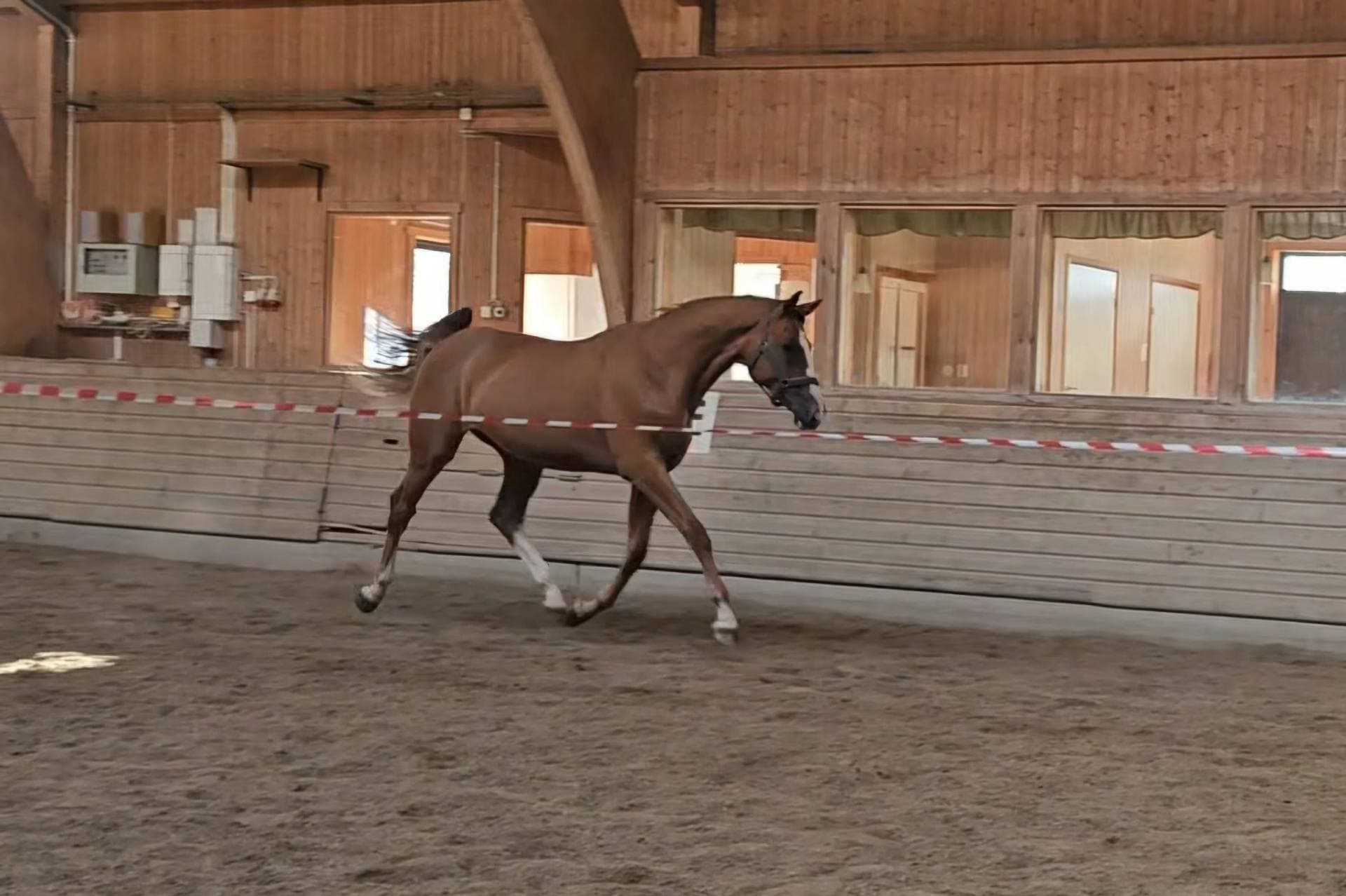 Bild 3