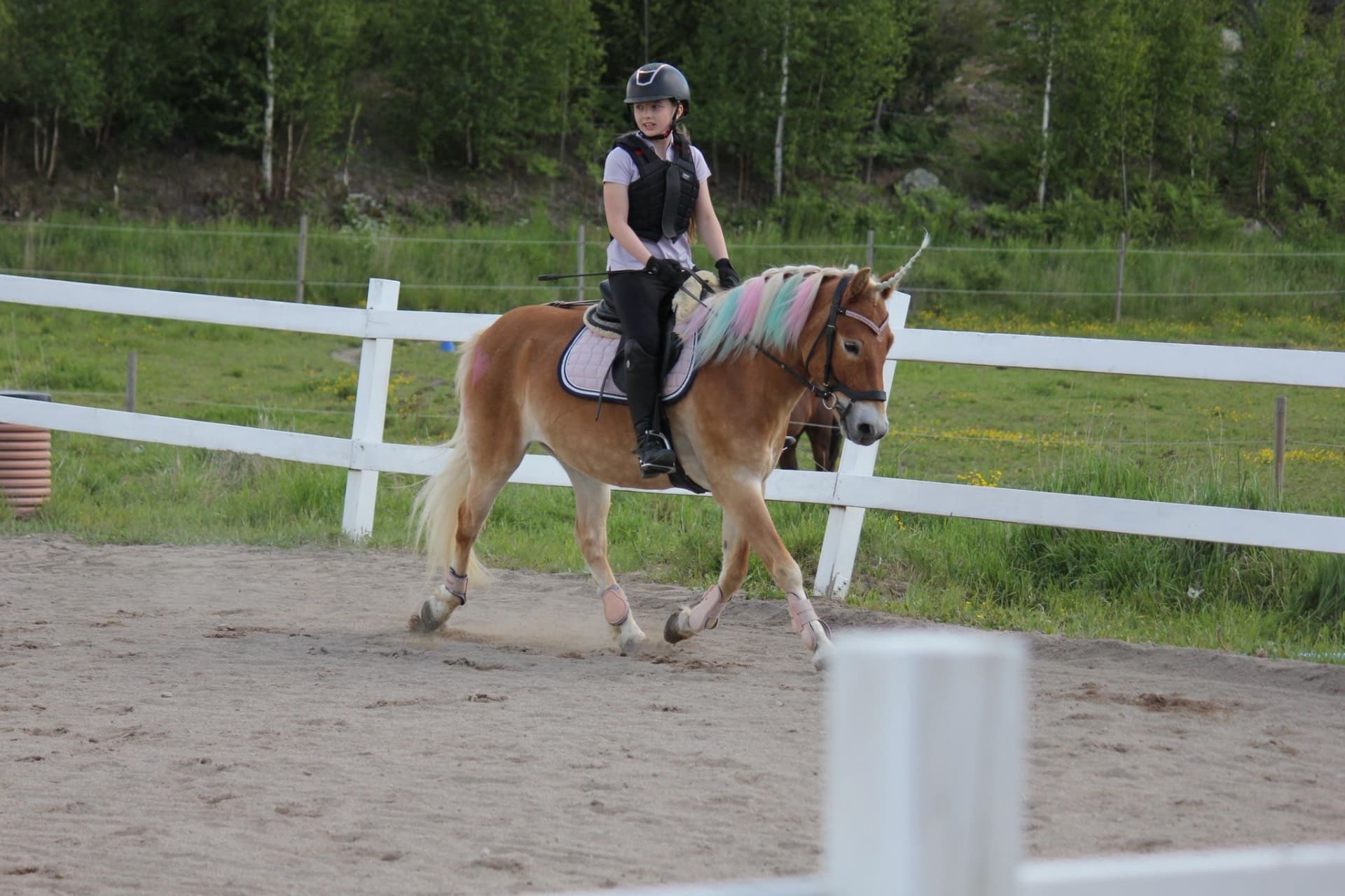 Bild 6