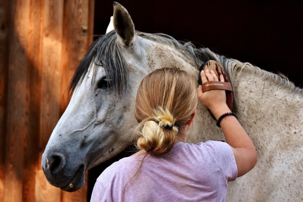 Närbild: en flicka borstar hästens hals i stallet — lugn, nära kontakt.