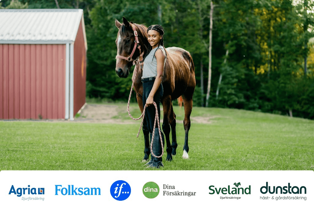Ryttare med brun häst framför rött stall, med logotyper för Agria, Folksam, Dina, Sveland, Dunstan och If längs nederkanten.