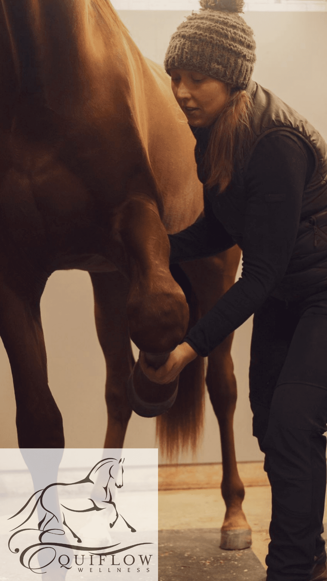 Equiterapi för en balanserad & hållbar häst!