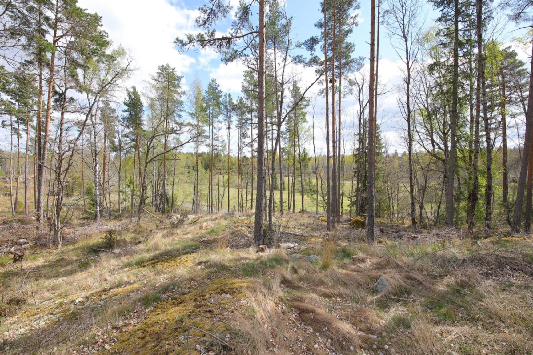 Blivande hästgård | KROKKÄRRET 1:1, ÖRSUNDSBRO, mellan Uppsala och Enköping - Miniatyrbild 6 av 12