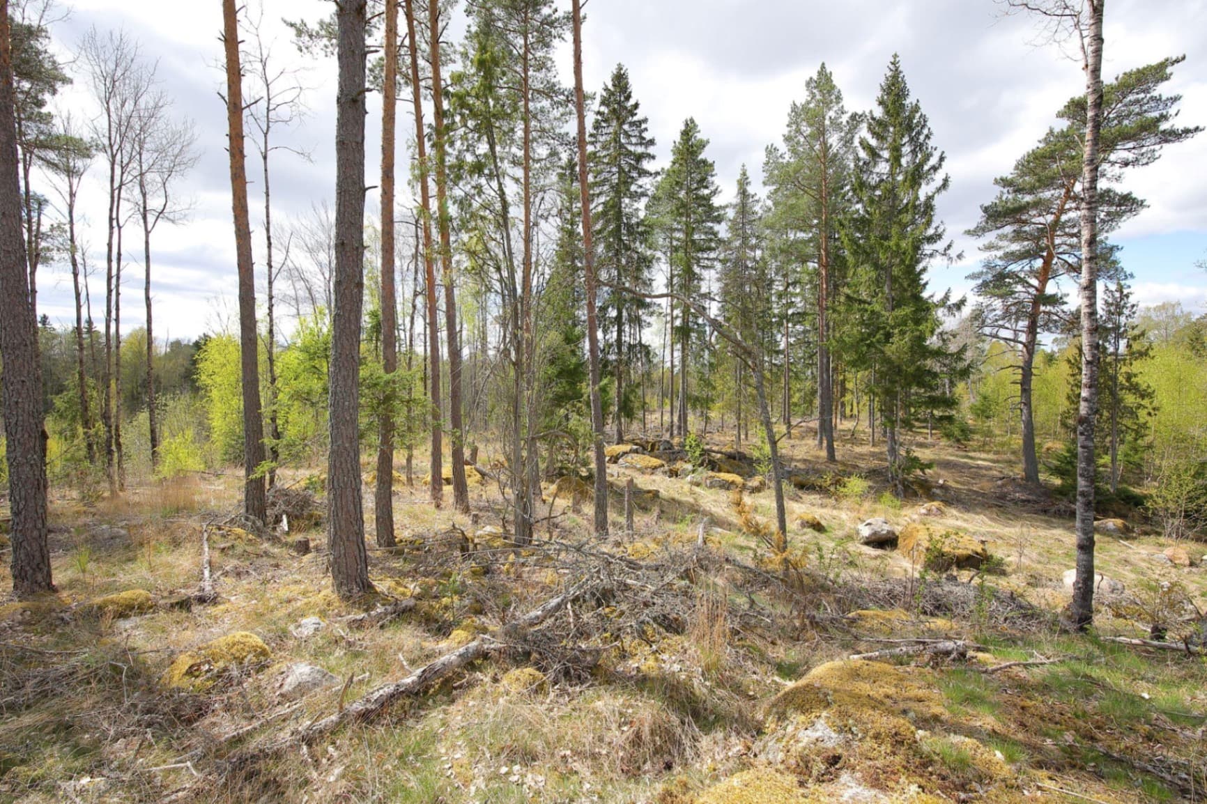 Blivande hästgård | KROKKÄRRET 1:1, ÖRSUNDSBRO, mellan Uppsala och Enköping - Miniatyrbild 10 av 12