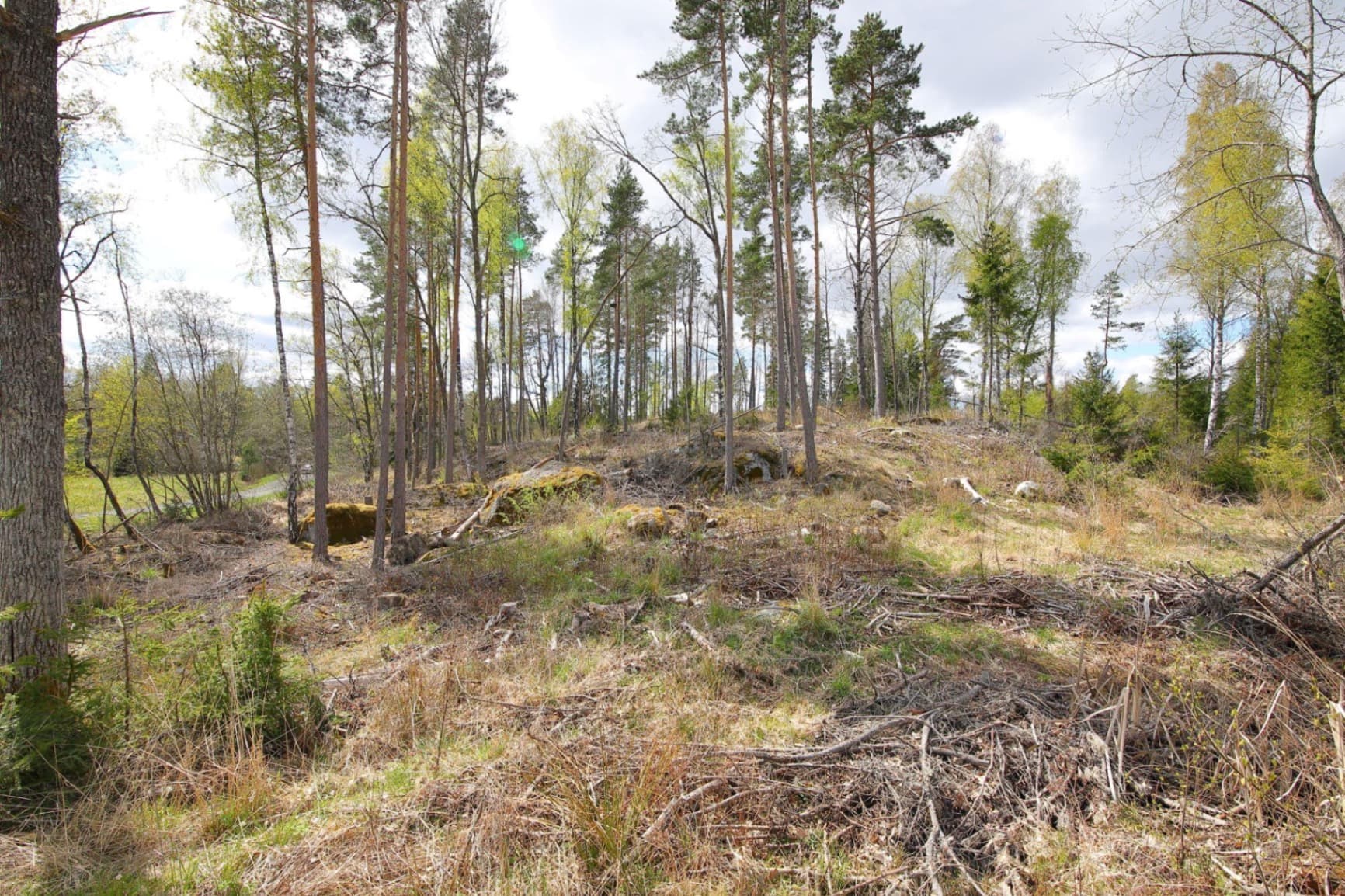 Blivande hästgård | KROKKÄRRET 1:1, ÖRSUNDSBRO, mellan Uppsala och Enköping - Miniatyrbild 8 av 12