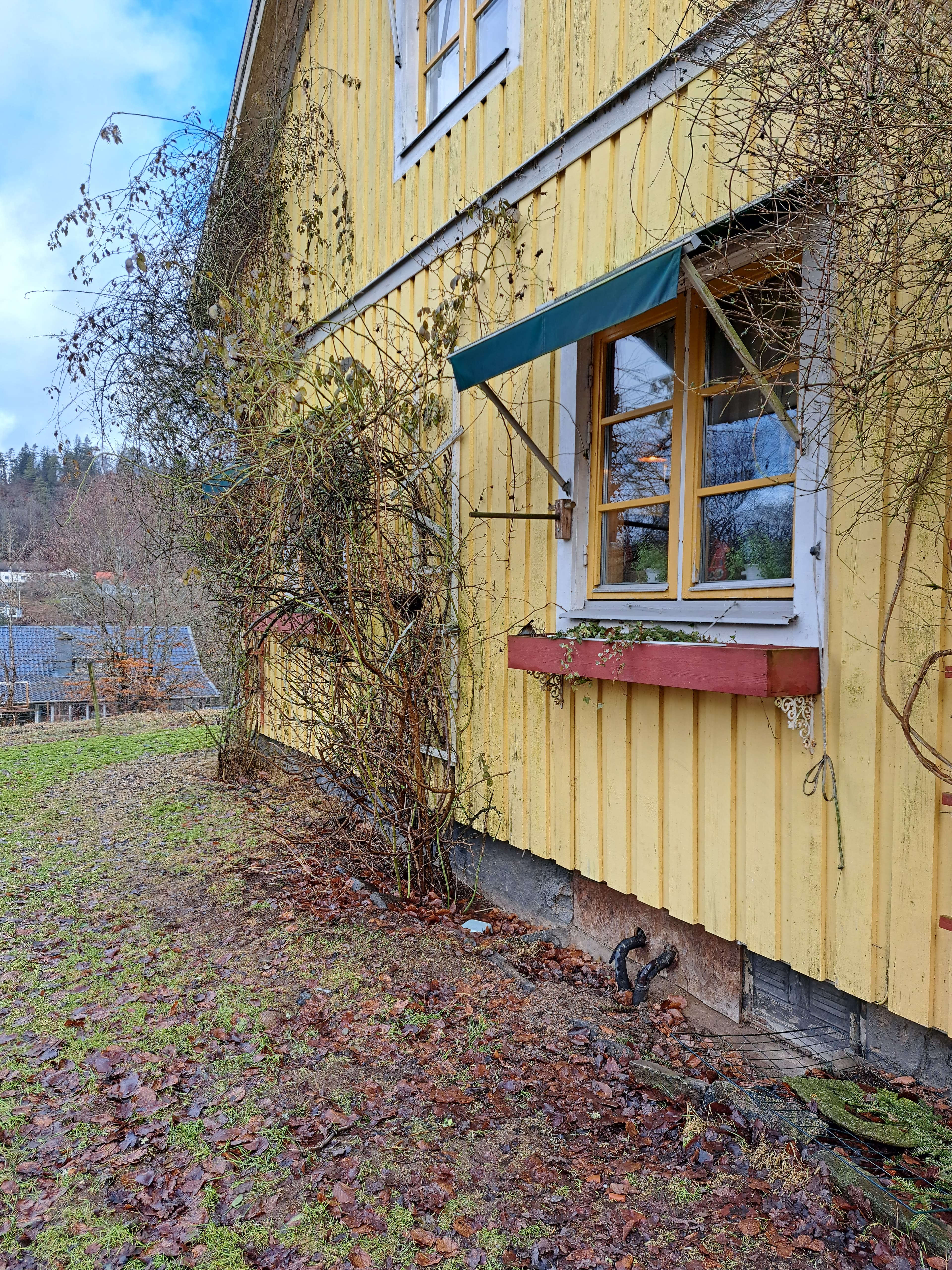 Liten gård - Miniatyrbild 3 av 8