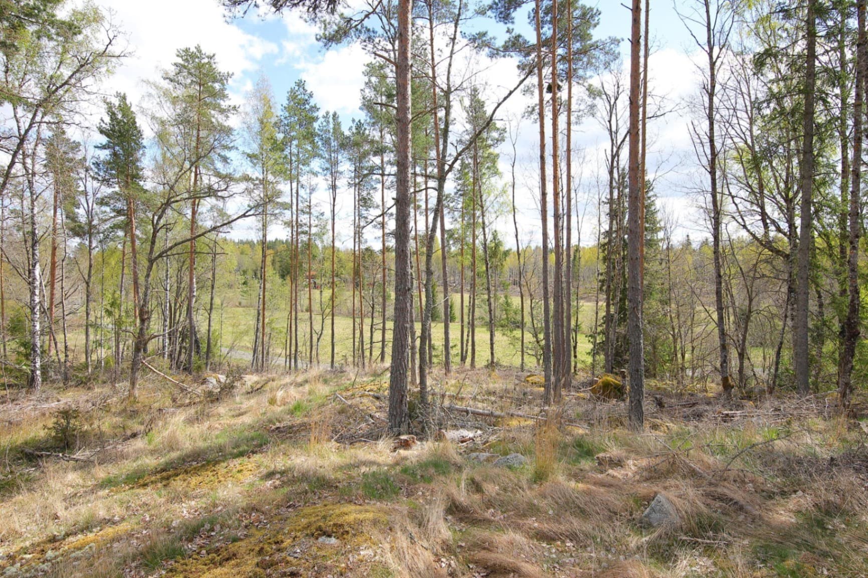 Blivande hästgård | KROKKÄRRET 1:1, ÖRSUNDSBRO, mellan Uppsala och Enköping - Miniatyrbild 7 av 12