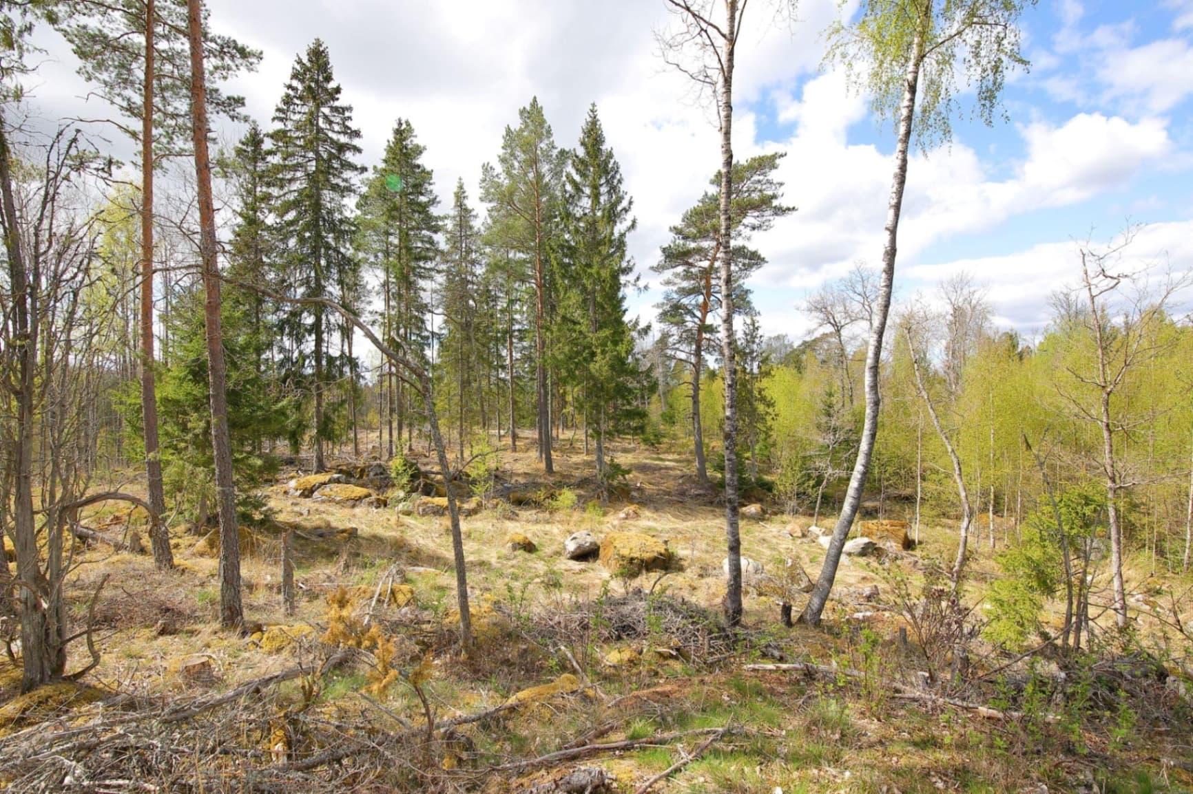 Blivande hästgård | KROKKÄRRET 1:1, ÖRSUNDSBRO, mellan Uppsala och Enköping - Miniatyrbild 9 av 12