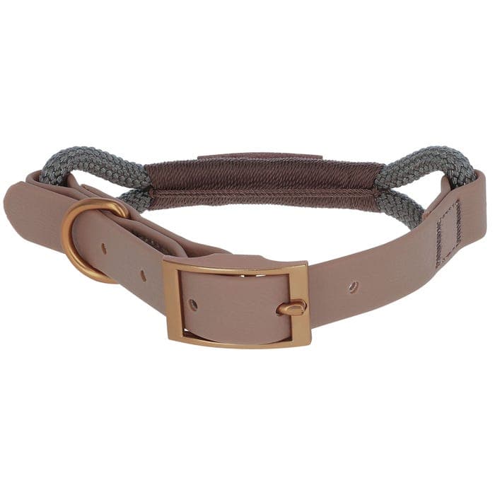 Halsband Monte Carlo