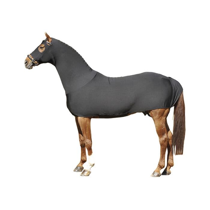 Dammtäcke