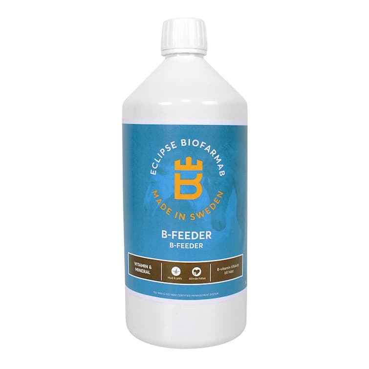B-Feeder
