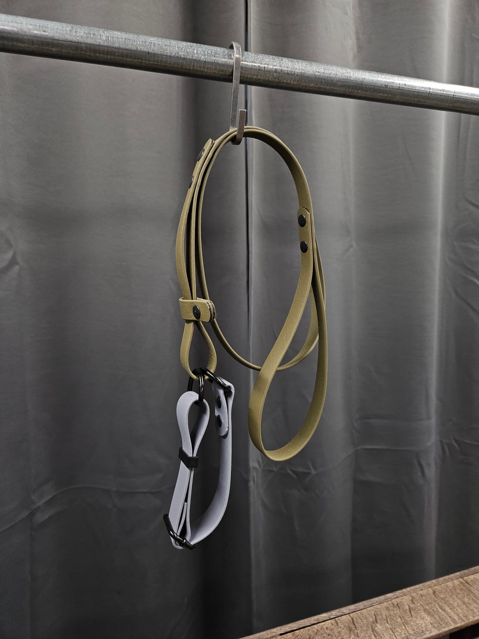 Halsband + koppel