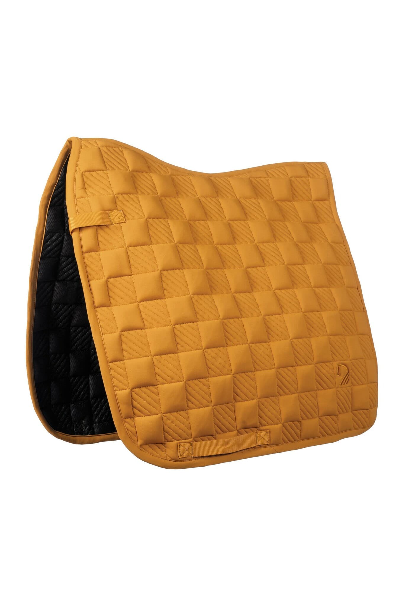 Schabrak Arezzo Sporty