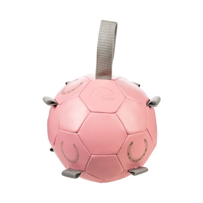 Leksaksboll Fun
