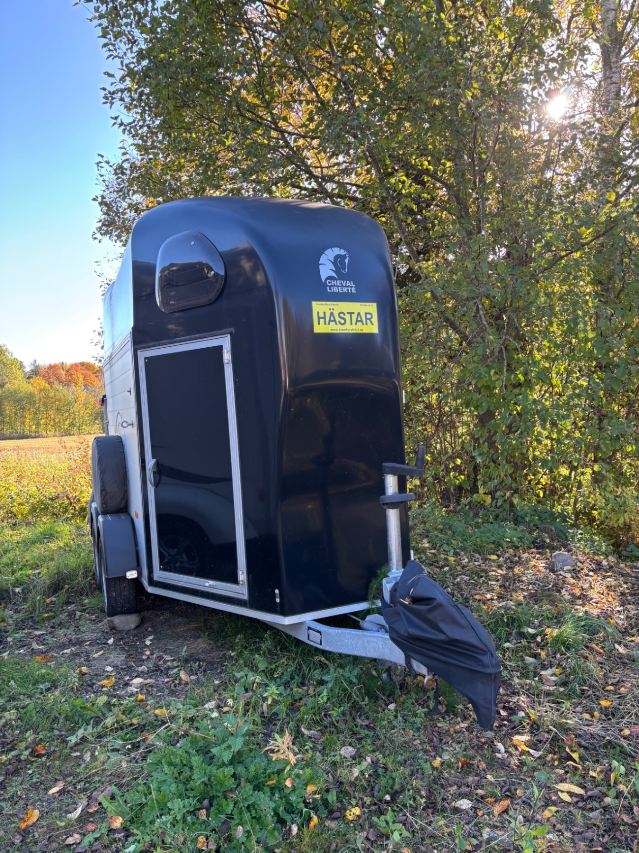 Cheval Liberté Gold 2