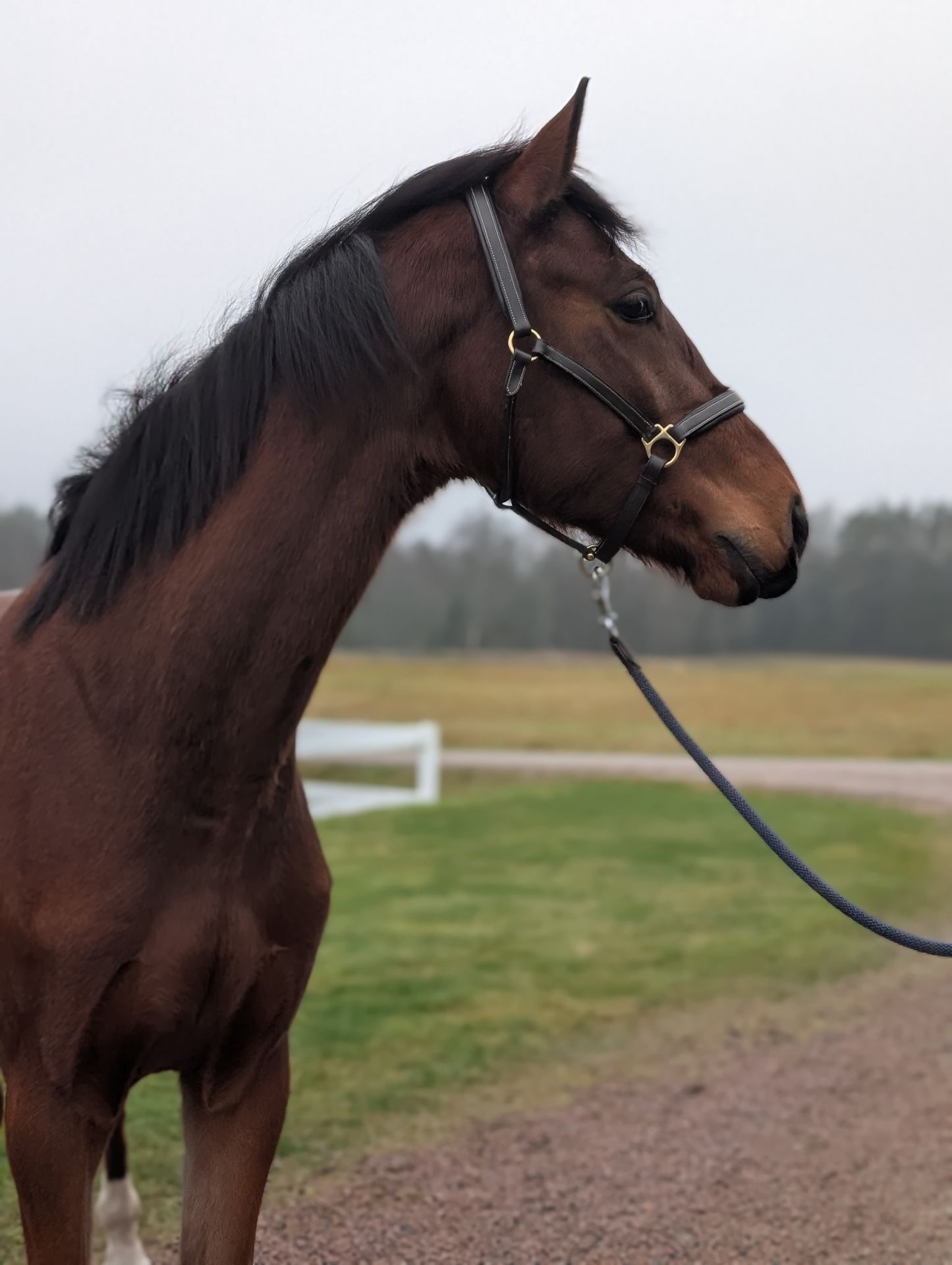 Snygg 3-åring