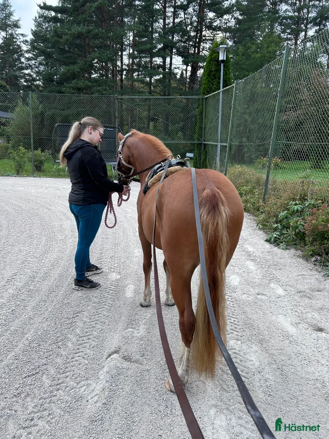 Bild 3